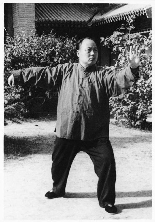 陈、杨太极如何旋转两胯？记住两点就行了