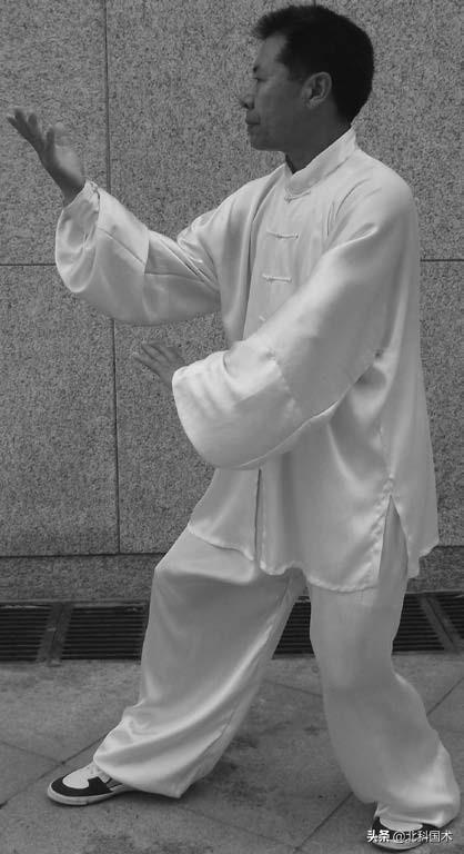 鲜为人知的“太极长拳”