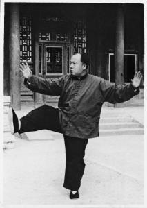 陈、杨太极如何旋转两胯？记住两点就行了