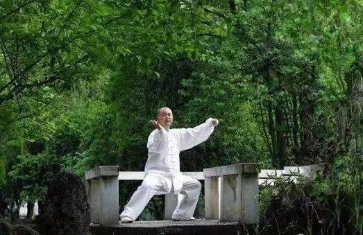 陈、杨太极如何旋转两胯？记住两点就行了